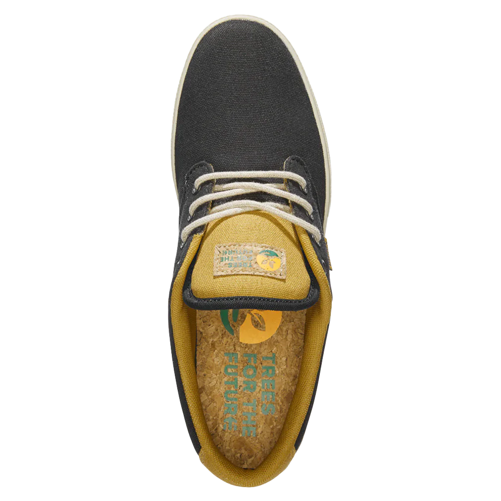 Etnies Jameson 2 Eco X TFTF Casual Shoes (Black)